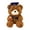 Brown, variant on Graduation Teddy Bear with Cap - Perfect Graduation Gift for Her, Him & Kids