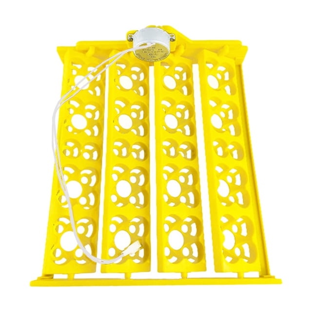 Incubadora automática de huevos con bandeja para voltear huevos, incubadora de 16 huevos. AC12V