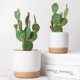 thumbnail image 3 of Macetas dobles para suculentas yuxing creativas verdes para decoración de mesa y jardín L, 3 of 5