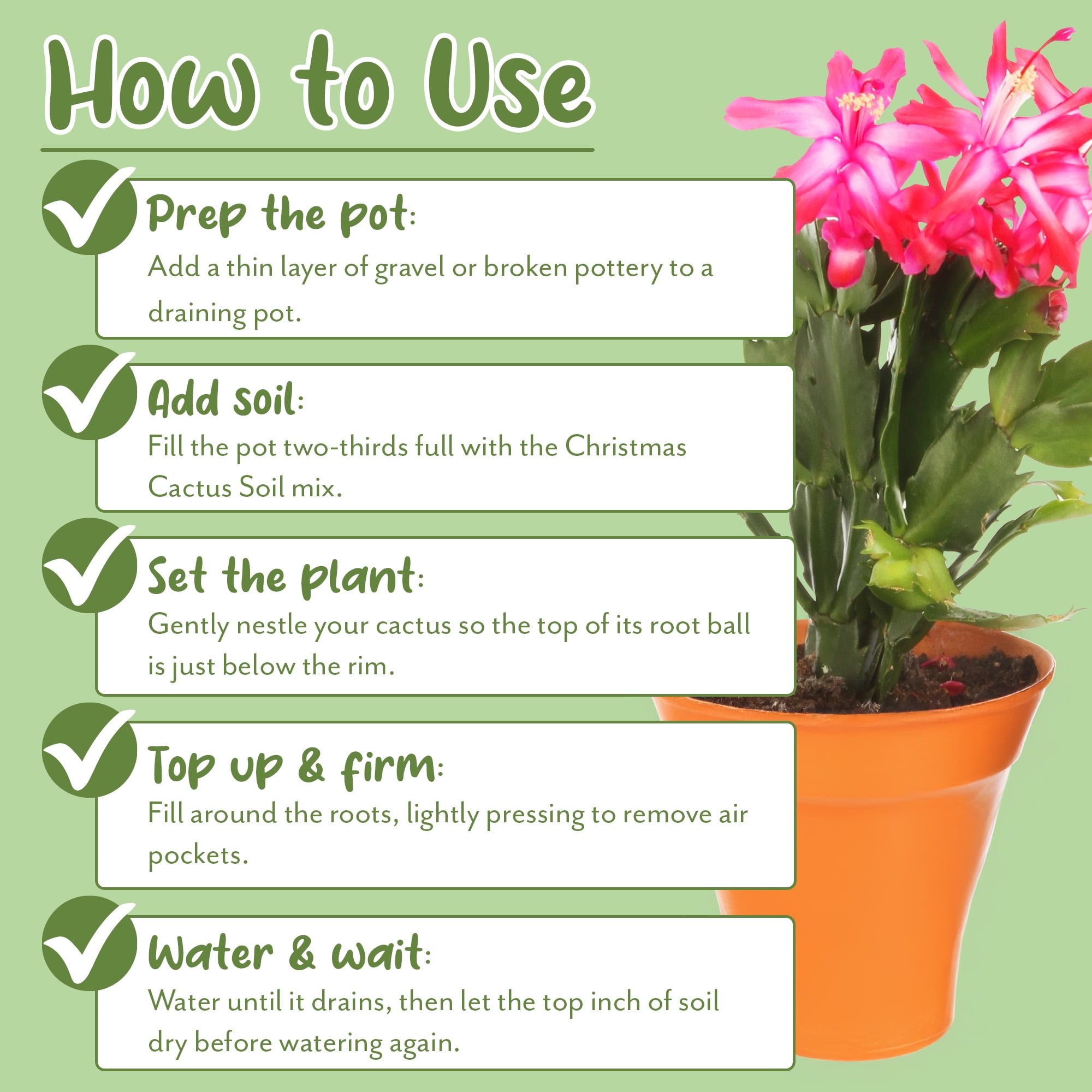 Christmas Cactus Potting Soil Mix (8 Quarts), Custom Blend for Xmas, Easter, and Thanksgiving Cactus Tropical Indoor Houseplants