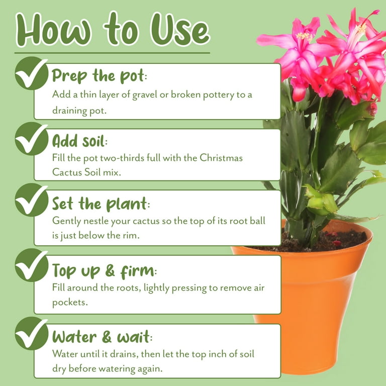Christmas Cactus Potting Soil Mix 8 Quarts Hand Blended Soil for Indoor Houseplants Custom Blended