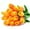 Orange, variant on 20pcs Artificial Tulips PU Touch Single Stem Fake Flower Bouquet Arrangement for Home Party Wedding Decoration (Yellow)