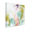 thumbnail image 2 of Trademark Fine Art 'Scattershot II' Canvas Art by June Erica Vess, 2 of 4