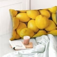thumbnail image 4 of Honeii Ripe Yellow Lemon Print Pillow Cases,Plush Throw Pillow Covers,Decorative Pillowcase for Sofa, Couch, Living Room-14"x20", 4 of 6