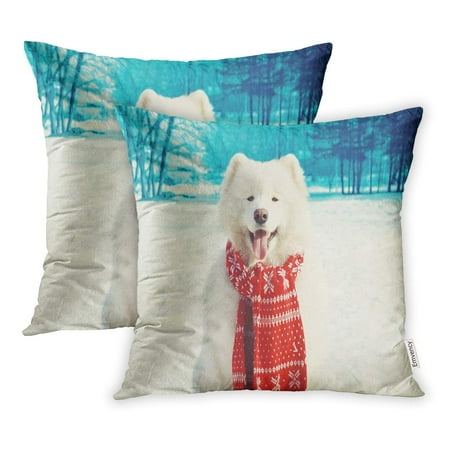 Dog Days Of Winter Pillows YWOTA Animal Happy White Samoyed Dog on Snow in Winter Day Funny Pillow Cases Cushion Cover 16x16 inch ()