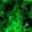 Neon Green, variant on Feelyou Green Spooky Ghost Full Size Comforter Sets, Gothic Halloween Bedding Comforter Set, Black Reversible, 3-Piece, 1 Comforter and 2 Pillowcases
