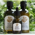 thumbnail image 2 of The Body Shop Ginger Scalp Serum, 2 of 9