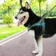 thumbnail image 5 of Nuevo arnés de pecho táctico para perros, material de nailon, arnés de pecho para perros medianos y grandes A7, correa para perros, 5 of 5