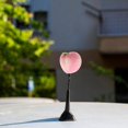 thumbnail image 4 of Realistic Pink Faux Fruit Car Antenna Topper for Auto Decoration, 4 of 4