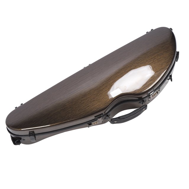 Étui pour Violon 4/4, Boîte de Rangement en Fibre de Carbone avec Hygromètre Intégré pour Cadeau