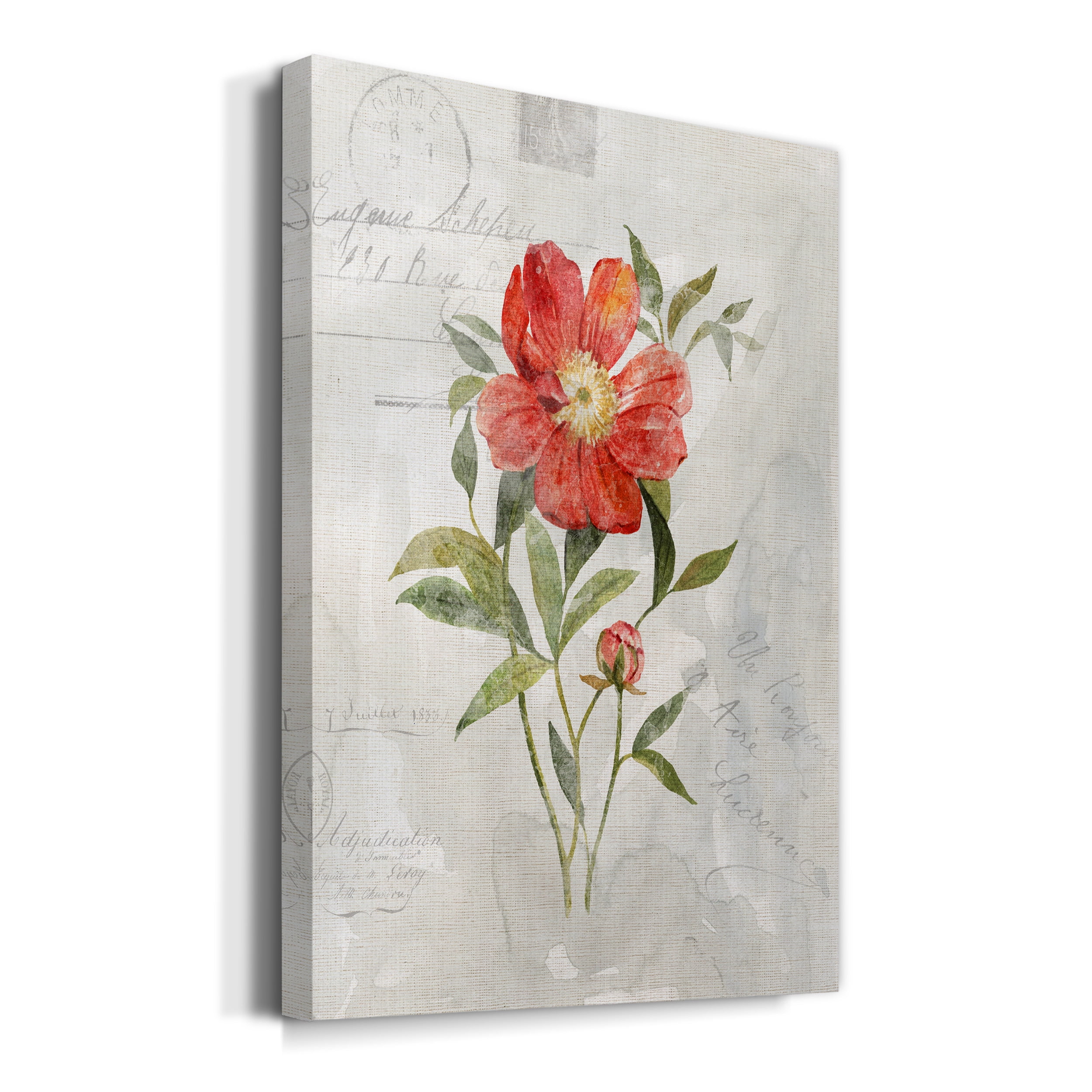 Linen Peony Premium Gallery Wrapped Canvas - Ready to Hang - 12 x 18