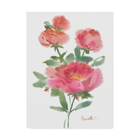 trademark fine art flower series 1 canvas art by marietta cohen