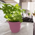 thumbnail image 2 of Bloem Ariana 8" Self-Watering Plastic Planter - Rolled Rim Indoor/Outdoor Garden Pot, Dusty Rose, 2 of 8