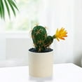 thumbnail image 4 of Artificial Cactus Plants, Flowered Fake Potted Cactus Plastic Pot, Faux Cactus Succulent Potted Plant Office Desk Shelf Decor, Artificial Cactus Plants For Home Office Tabletop Decor, 4 of 7