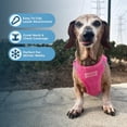 thumbnail image 5 of Best Pet Supplies Voyager Step-In Plush Suede Dog Harness, 5 of 8