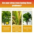 Bicoasu 100ml Citrustree Plant Fertilizer Orange Fruit Tree Plant Root Beauty Fruit Growth