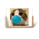 thumbnail image 1 of Bonita cara de gato enmascarado. Pantalla de escritorio fotográfica de madera, 1 of 4