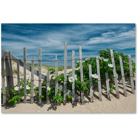 White Beach Roses by Michael Blanchette Photography, 12×19-Inch Canvas Wall Art