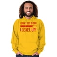thumbnail image 5 of I Dont Get Older I Level Up Gamer Hoodie Sweatshirt Women Men Brisco Brands 2X, 5 of 6