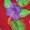 MAROON, FLORAL HIBISCUS, variant on HAPPY BAY Women's Beachwear Swimsuit Coverups Summer Cover ups for Swimwear Women Button up Beach Dress Night T Shirt L-XL Maroon, Floral Hibiscus