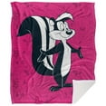 thumbnail image 2 of LOGOVISION Looney Tunes Blanket,50*60inch,Pepe Le Pew Character Sherpa Back Super Soft Throw, 2 of 5