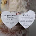 thumbnail image 5 of Ty Beanie Bellies-TY41036 Stubby Monkey Soft Toy, 15 cm, TY41036, Brown, Beige, Small, 5 of 6