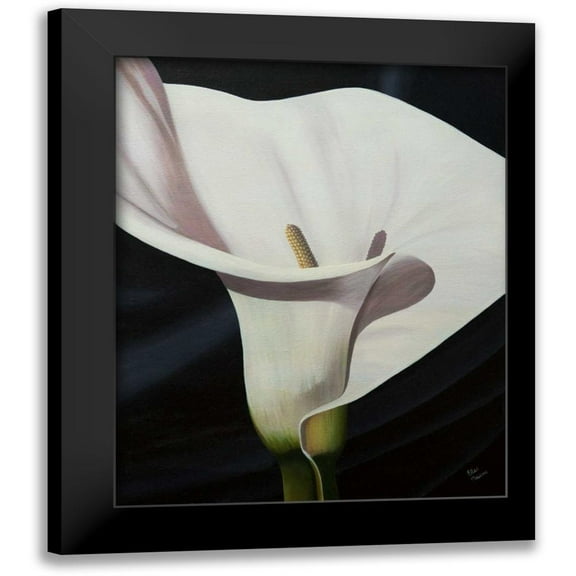 Macoce, Ellen 12x14 Black Modern Framed Museum Art Print Titled - Black Tie Lily