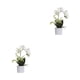 thumbnail image 4 of Injueey Flores artificiales blancas para mascotas, amigables y no tóxicas, de apariencia realista, para amantes, decoración del hogar, amplia BF1912010 (377 g), BF1912010 (377 g) 2Conjunto, 4 of 6