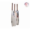 SS LEGEND LIMITED EDITION CRICKET BAT 2022
