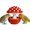 Red, variant on Mushroom Bird Feeding Bowl, No Mess Pet Cage Feeder, Covered Food or Water Bowl for Small Animals Budgie Cockatiel Hamster