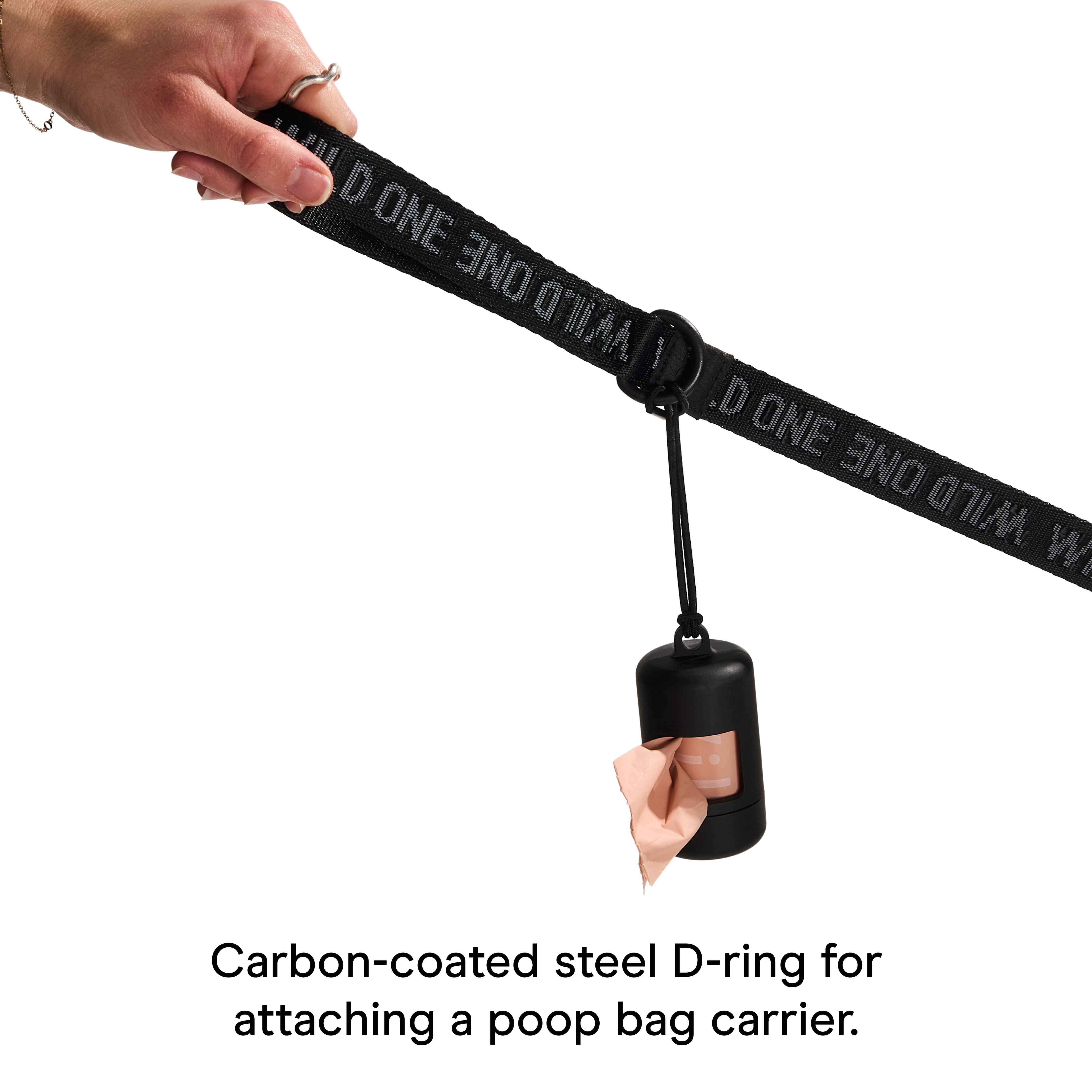 Wild One 6ft Heavy Duty Lightweight Nylon Dog Leash, Black Reflective