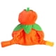 thumbnail image 4 of Sombrero para mascotas, disfraz para perro, gorro para gato, orejas de gato, gorro de calabaza, 4 of 7