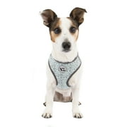 Vibrant Life Dog Body Harness, Teal, (XS)