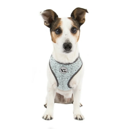 Vibrant Life Dog Body Harness, Teal, (XS)