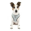 Vibrant Life Dog Body Harness, Teal, (XS)