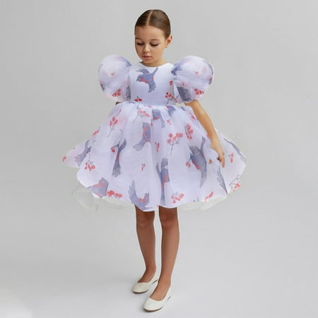 

Huilaibazo Girls Dress Toddler Kids Girls Print Bubble Sleeve Tulle Patchwork Party Princess Dress Clothes 2-8Y