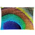 thumbnail image 1 of RYLABLUE Magic Soft Peacock Tail Pillow Cases 20x30 inches Two Sides Print, 1 of 1