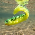 10Pcs Segmented T-Tail Soft Plastic Baits, 3.1in Realistic Articulated ...