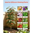thumbnail image 5 of KFFKFF Garden Trellis, 60 x 15 inch Plant Support, Set of 4 Trellises with Powder-Coated Finish and Locking Mechanism, Ideal for Supporting Flowers, Vegetables, and Roses, 5 of 9