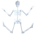 thumbnail image 1 of A Glow Skeleton Body 32Cm Halloween Toy Set For Haunted House Prop Luminous Design Plastic Decoration Party Fun Size 12.59 Inches, 1 of 9