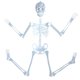 thumbnail image 2 of Juguete de Halloween Fiudx Cráneo luminoso esqueleto cuerpo aterrador, 2 of 7