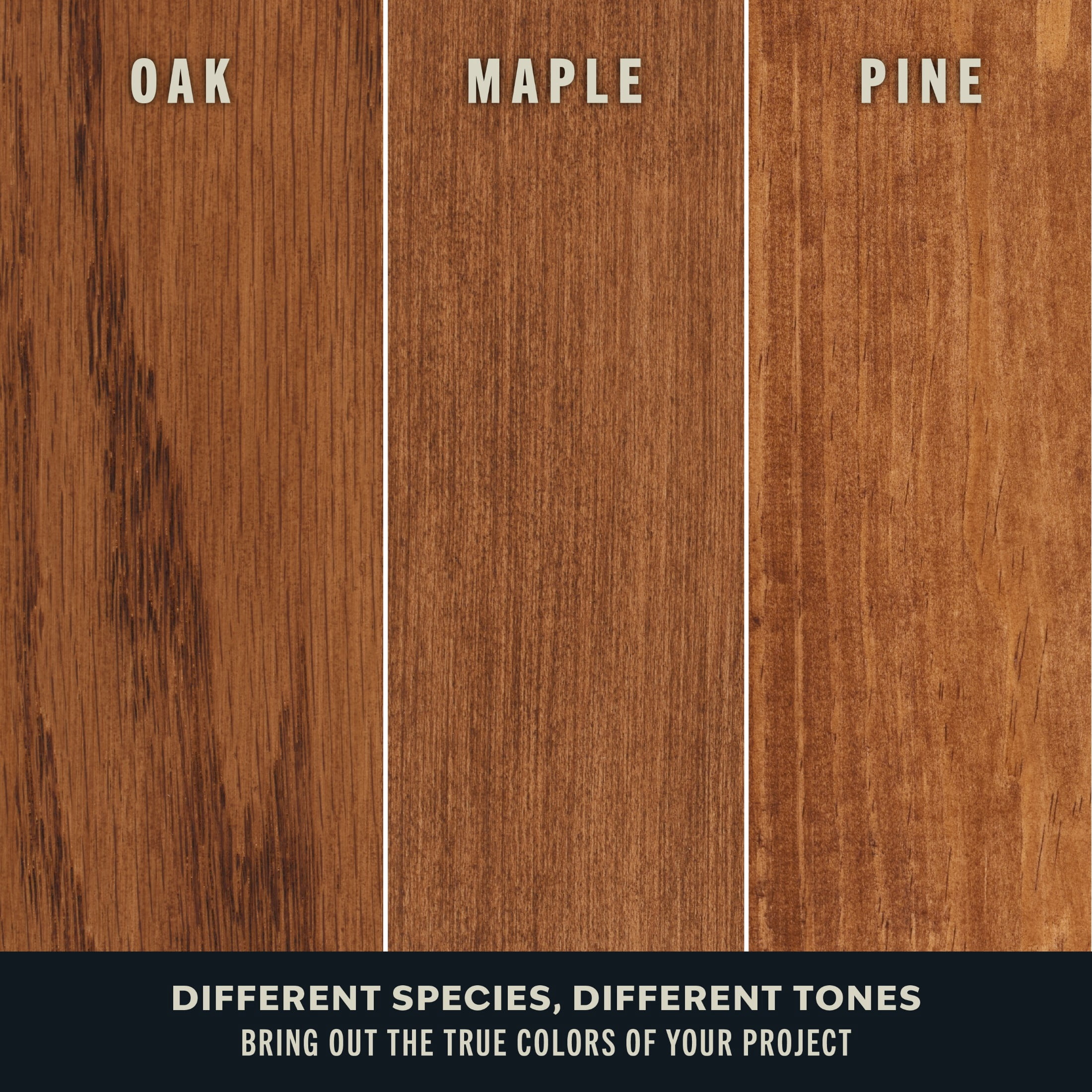 (2 pack) Golden Mahogany, Varathane Premium Fast Dry Wood Stain-262033, 8 fl oz