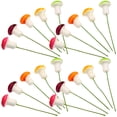 thumbnail image 3 of 20 Pcs Micro Jardin Champignon Décor Mini Petits Champignons en Mousse Champignons Réalistes, 3 of 7