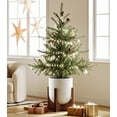 thumbnail image 4 of BEMAY 12" White Ceramic Planter with Wood Stand, Large Indoor Plant Pot and Flower Pot for Tall Plants and Houseplants, Mid Century Modern Decor, 4 of 10