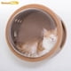 thumbnail image 1 of Cat Wall Climbing Set Wooden Cat Scratcher Tree Tower Scratchers Cat Hammock Wall Pet Supplies Accessory ShopWise Round, 1 of 7