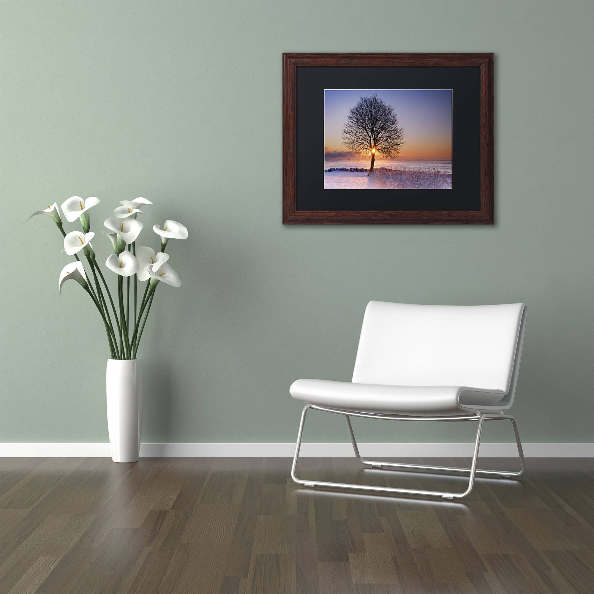 Trademark Fine Art "Tree Burst" Canvas Art by Michael Blanchette Photography Black Matte, Wood Frame