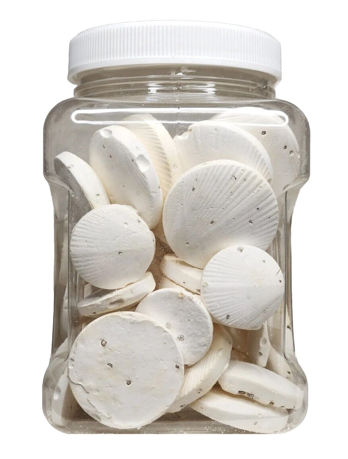 Calcium Enriched Sinking Feeder Disks and Holiday Feeding Food for Shrimp, Snails, Crabs, Crayfish, Hermit Crabs, Plecos, Catfish, all Tropical Fish. 50  Discs.... Small Jar