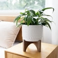 thumbnail image 2 of La Jolie Muse Ceramic Planter with Wood Stand - 8 Inch White Cylinder Embossed Hobnail Patterned Flower Plant Pot Indoor, 2 of 10