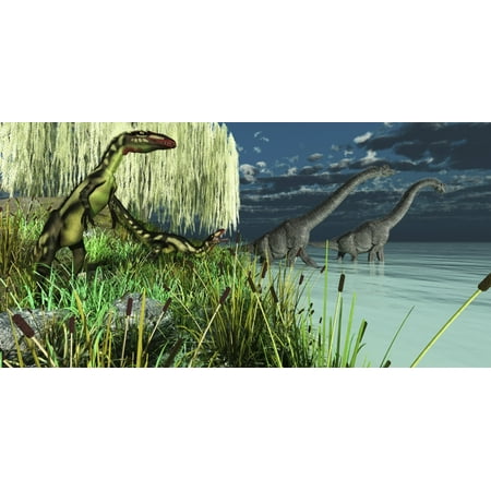 Brachiosaurus Poster - Small Dilong dinosaurs watch as two Brachiosaurus dinosaurs wade across a lake Poster Print