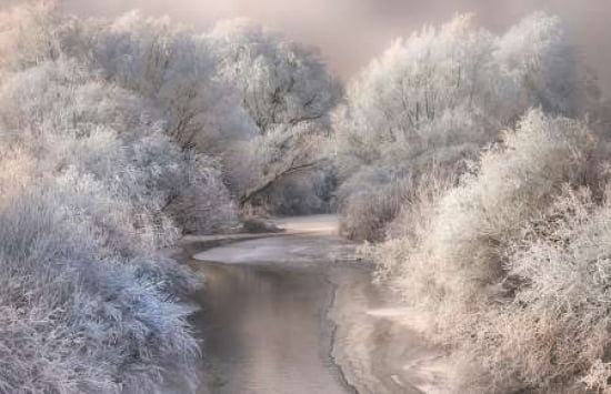 Winter Song Canvas